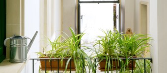 B&B Dimora San Vincenzo