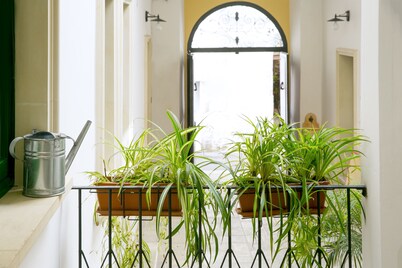 B&B Dimora San Vincenzo