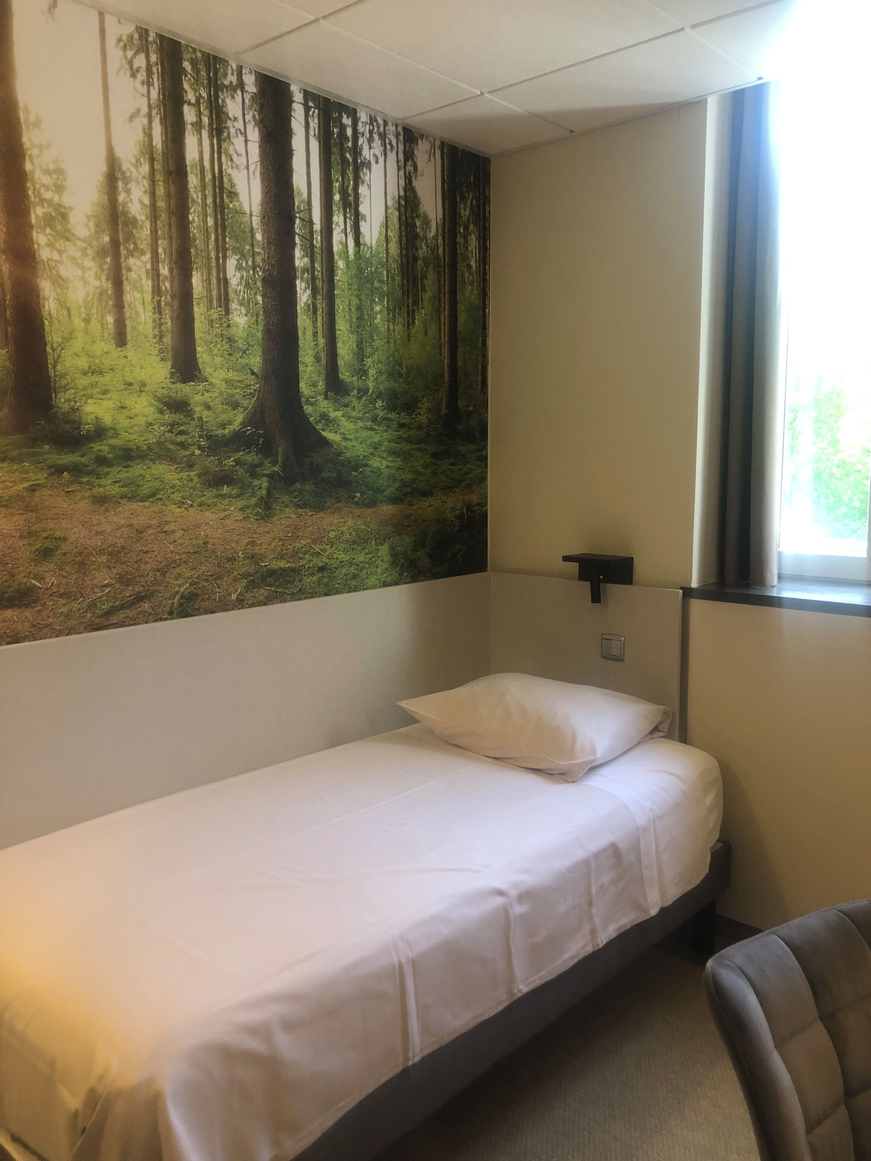 Un lit simple avec une literie blanche, une table de chevet fixée au mur, une grande fresque représentant une forêt et une fenêtre avec des rideaux.