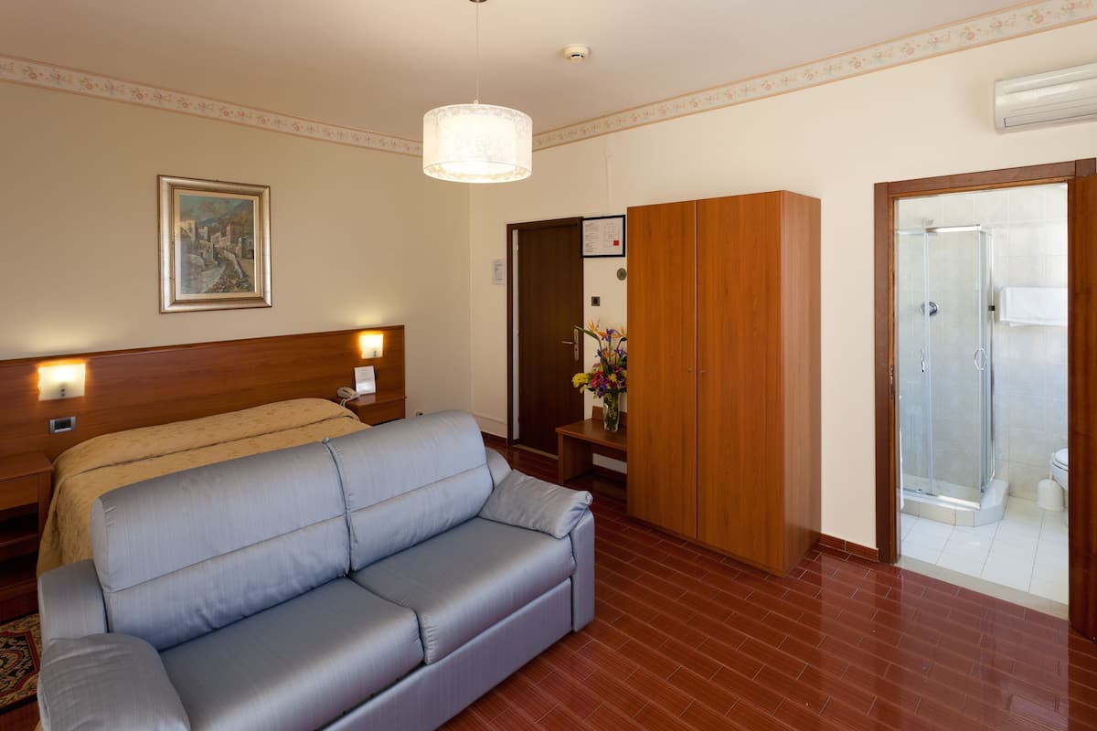 A hotel room with a sofa, a wooden wardrobe, a framed picture on the wall, and a shower area.