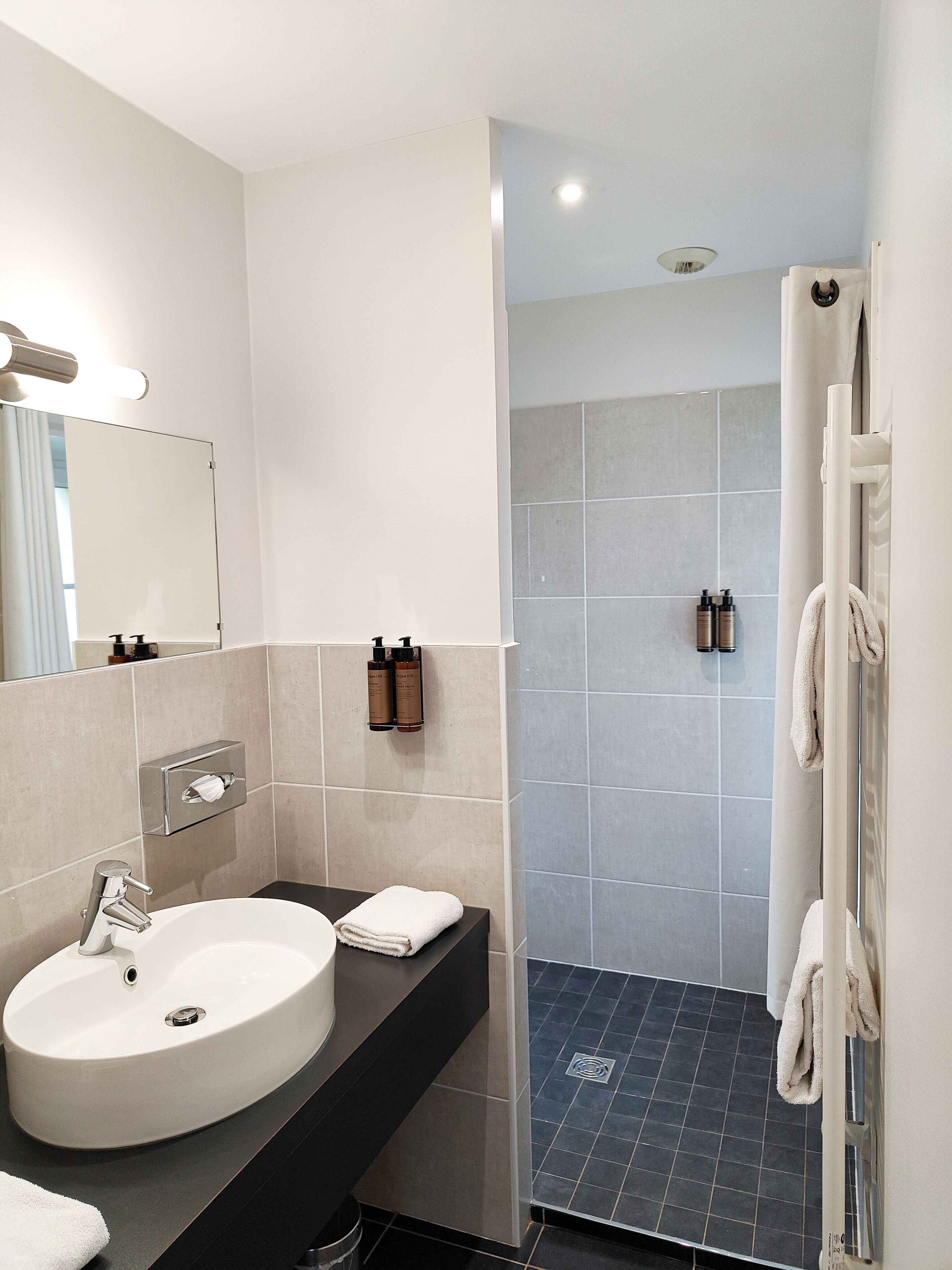 comfort double room, annex building | bathroom | hair dryer, towels, soap, shampoo