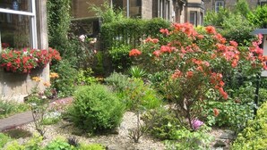 Ein gepflegter Garten mit unterschiedlichen Pflanzen und Blumen, einem Kiesweg und einem Gebäude im Hintergrund.