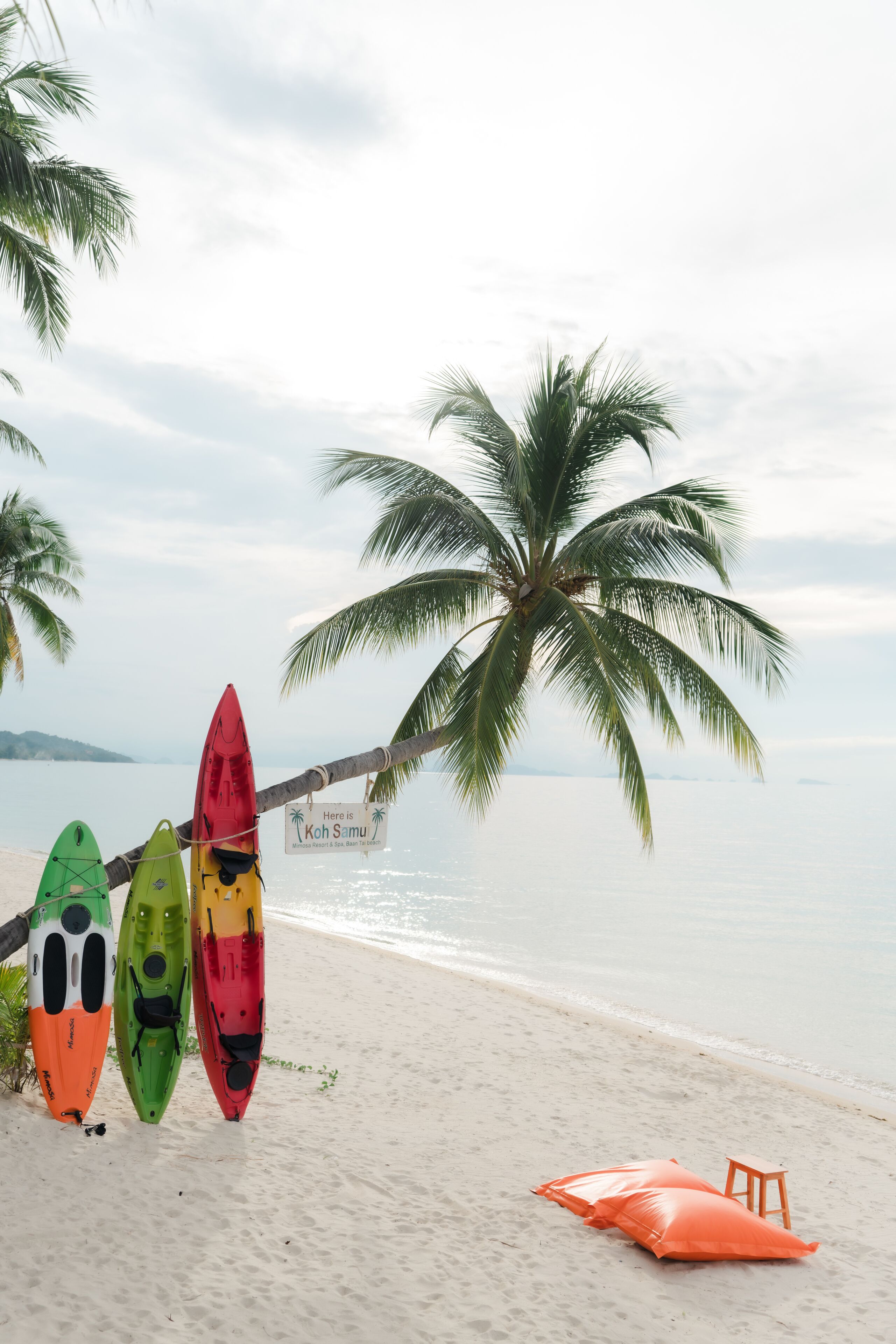 Una playa con kayaks y un letrero en una palmera.