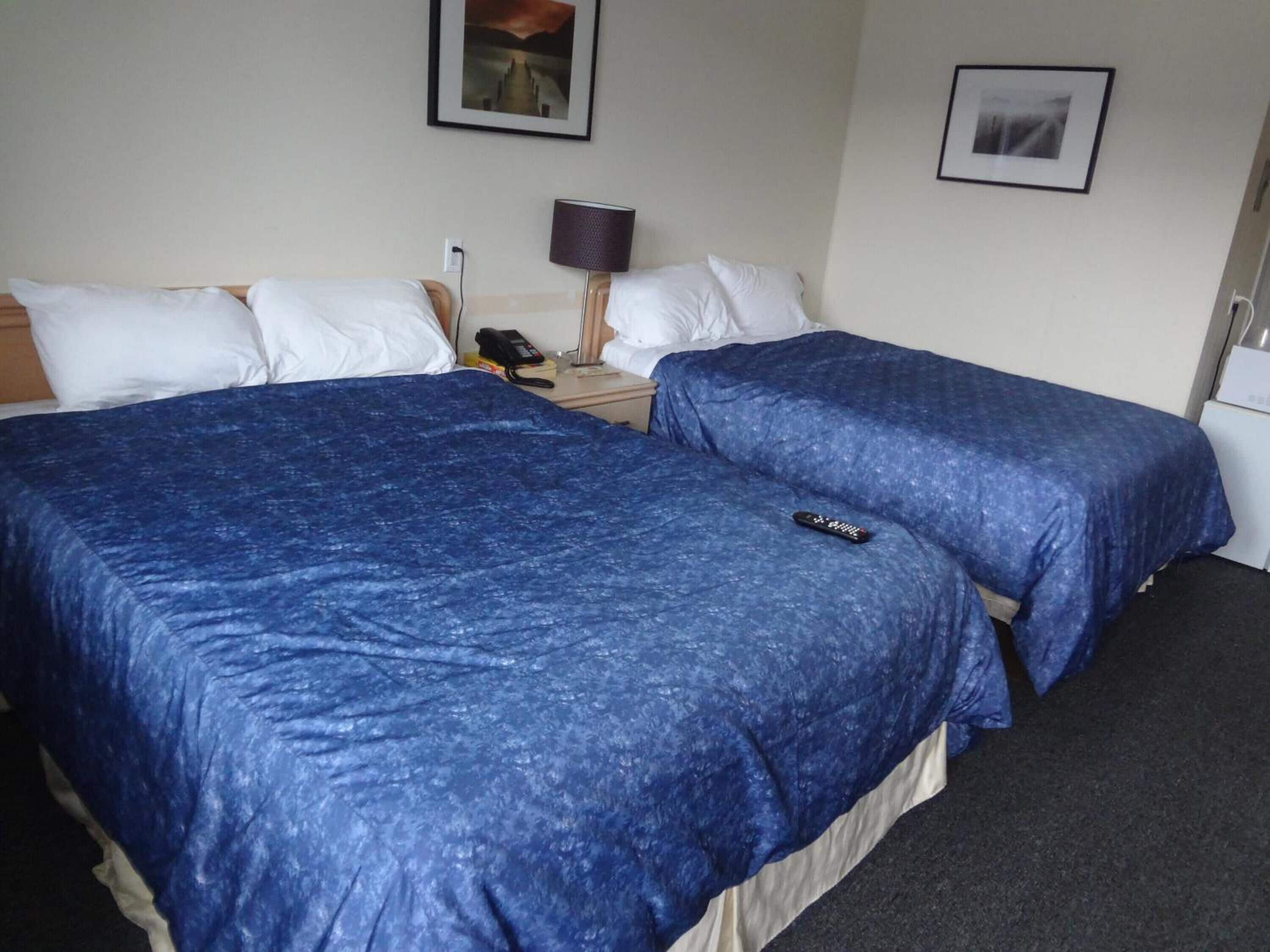 Foto - Empress Inn and Suites by the Falls