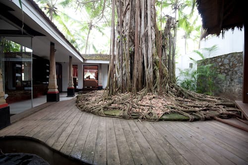 The Banyan Tree Bungalow | Terrace/patio