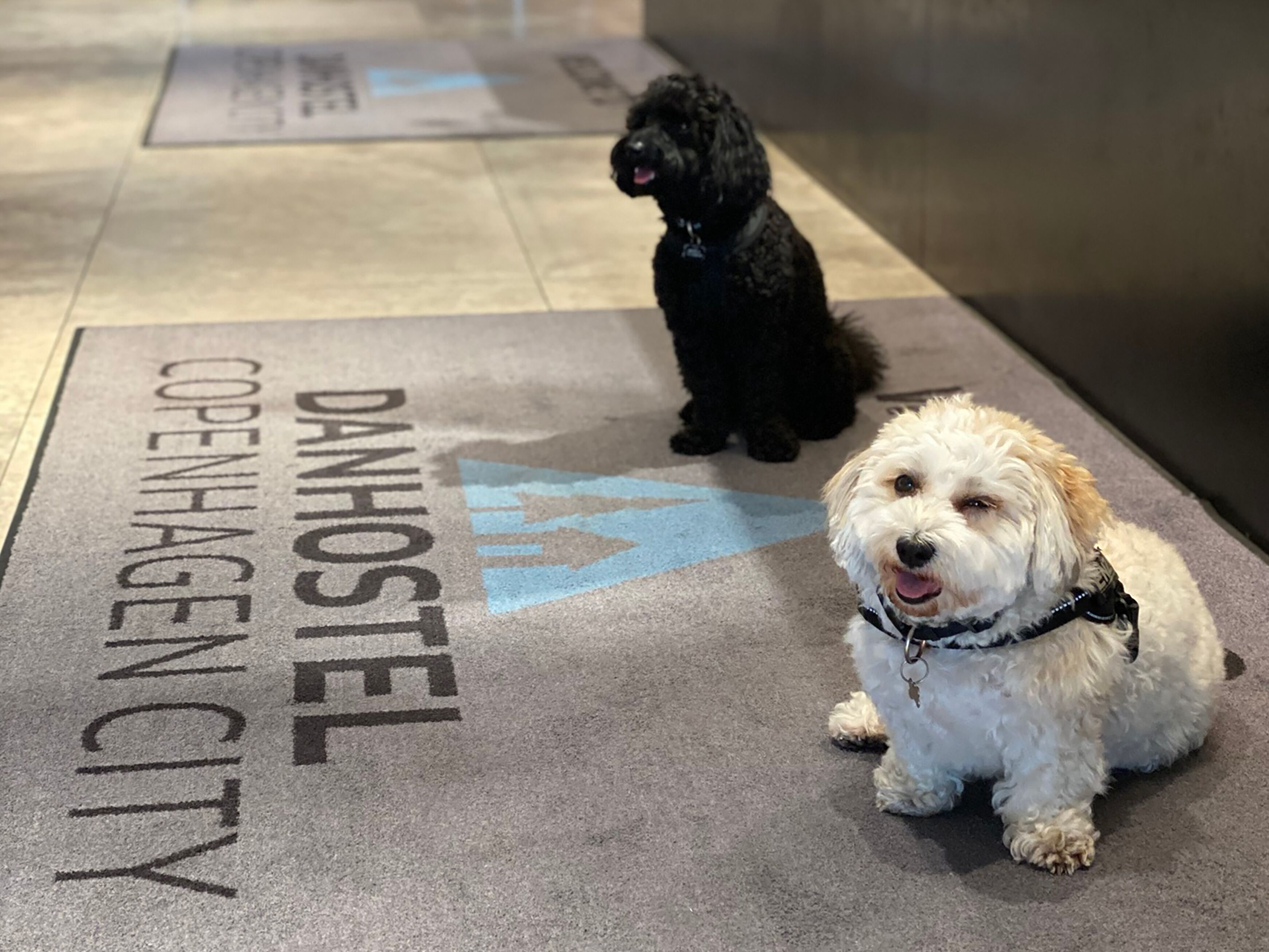 Foto - Danhostel Copenhagen City & Apartments