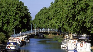 A river with boats docked on both sides, a bridge, and trees lining the riverbanks.