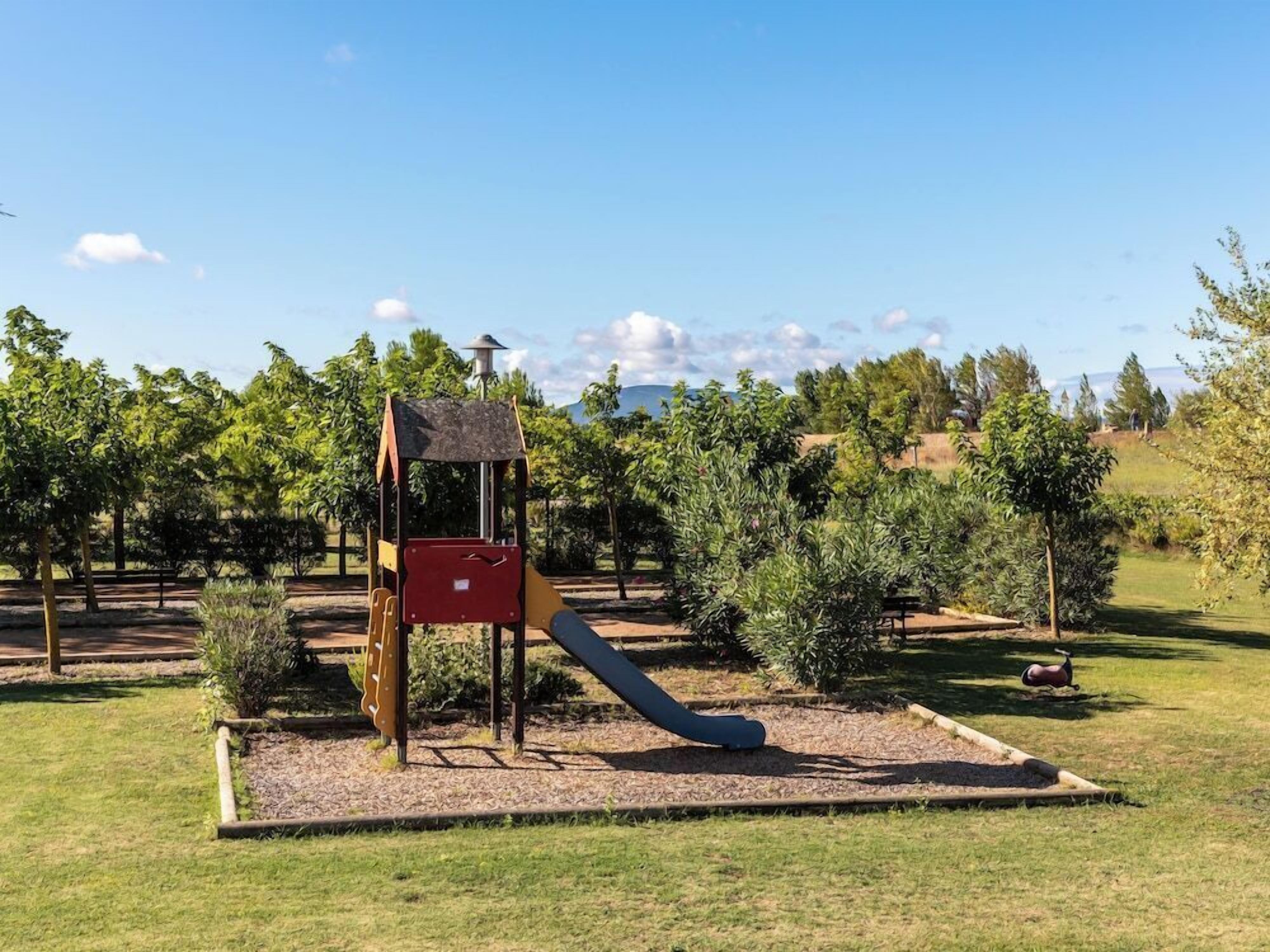 Une aire de jeux avec un toboggan et des structures d’escalade, entourée d’herbe et d’arbres.