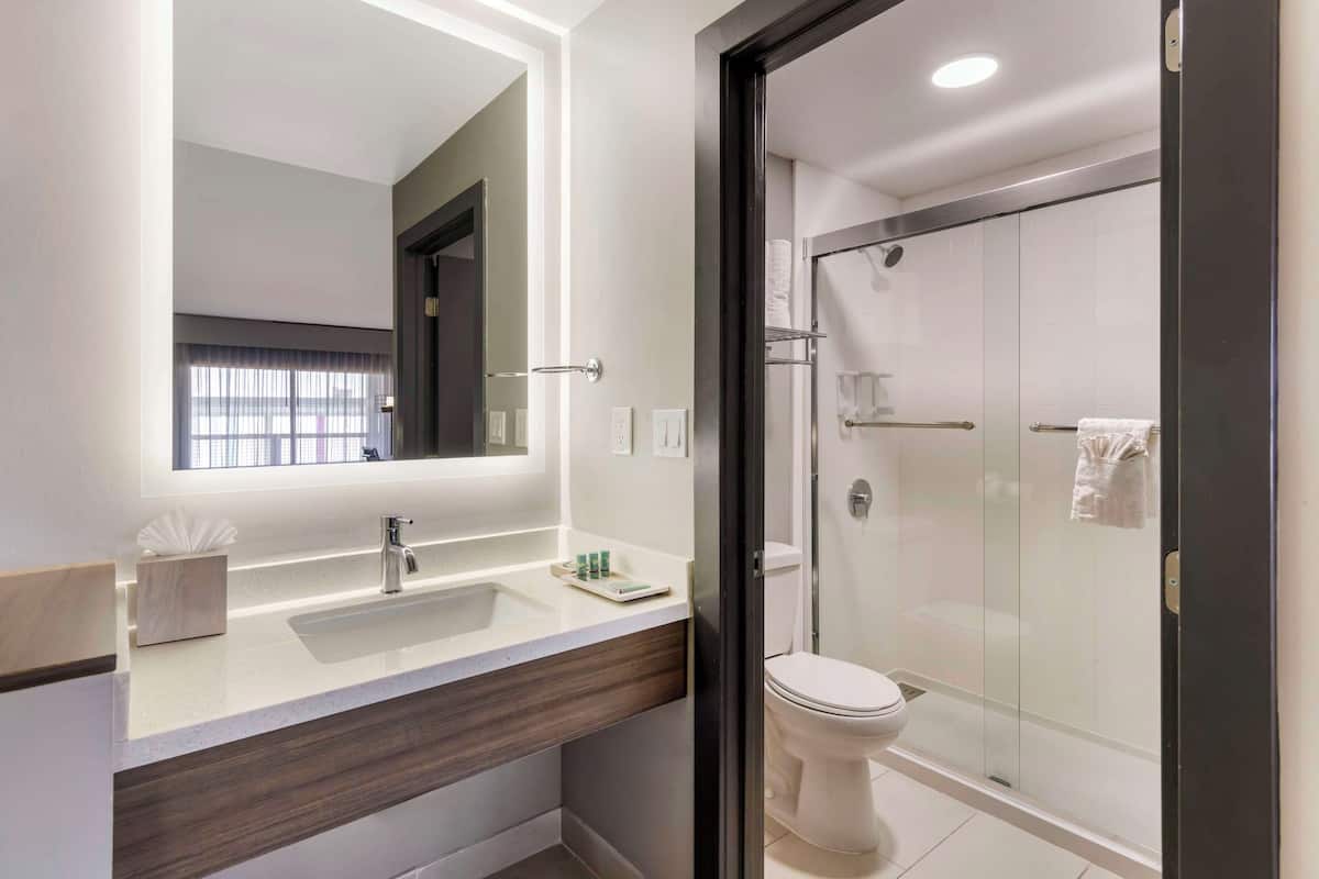 suite, 1 king bed, non smoking, kitchenette (living room;shower only;with sofabed) | bathroom | free toiletries, hair dryer, towels, soap