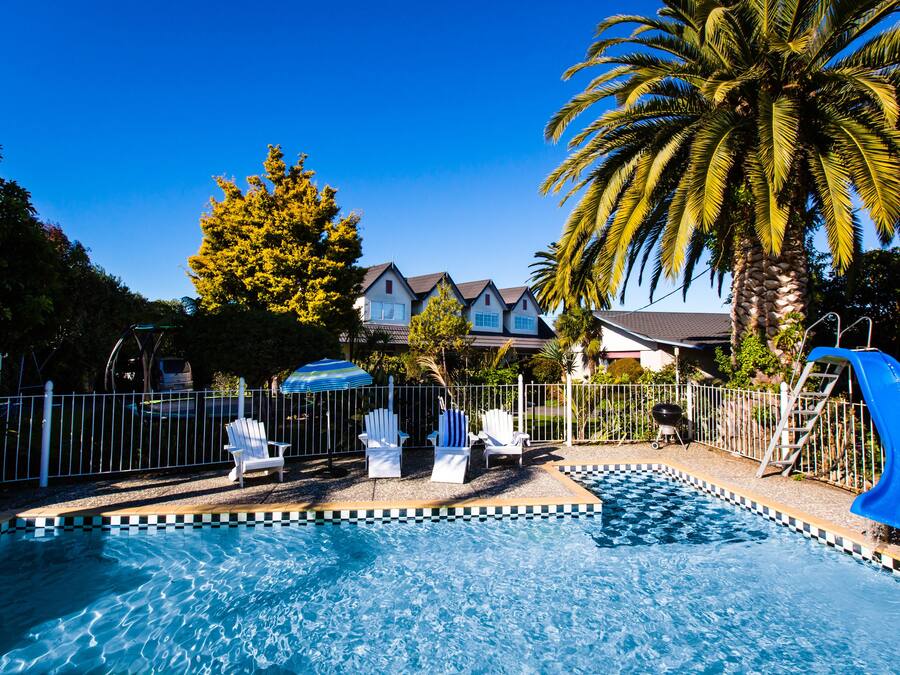 A swimming pool with lounge chairs, a palm tree, and a house in the background.