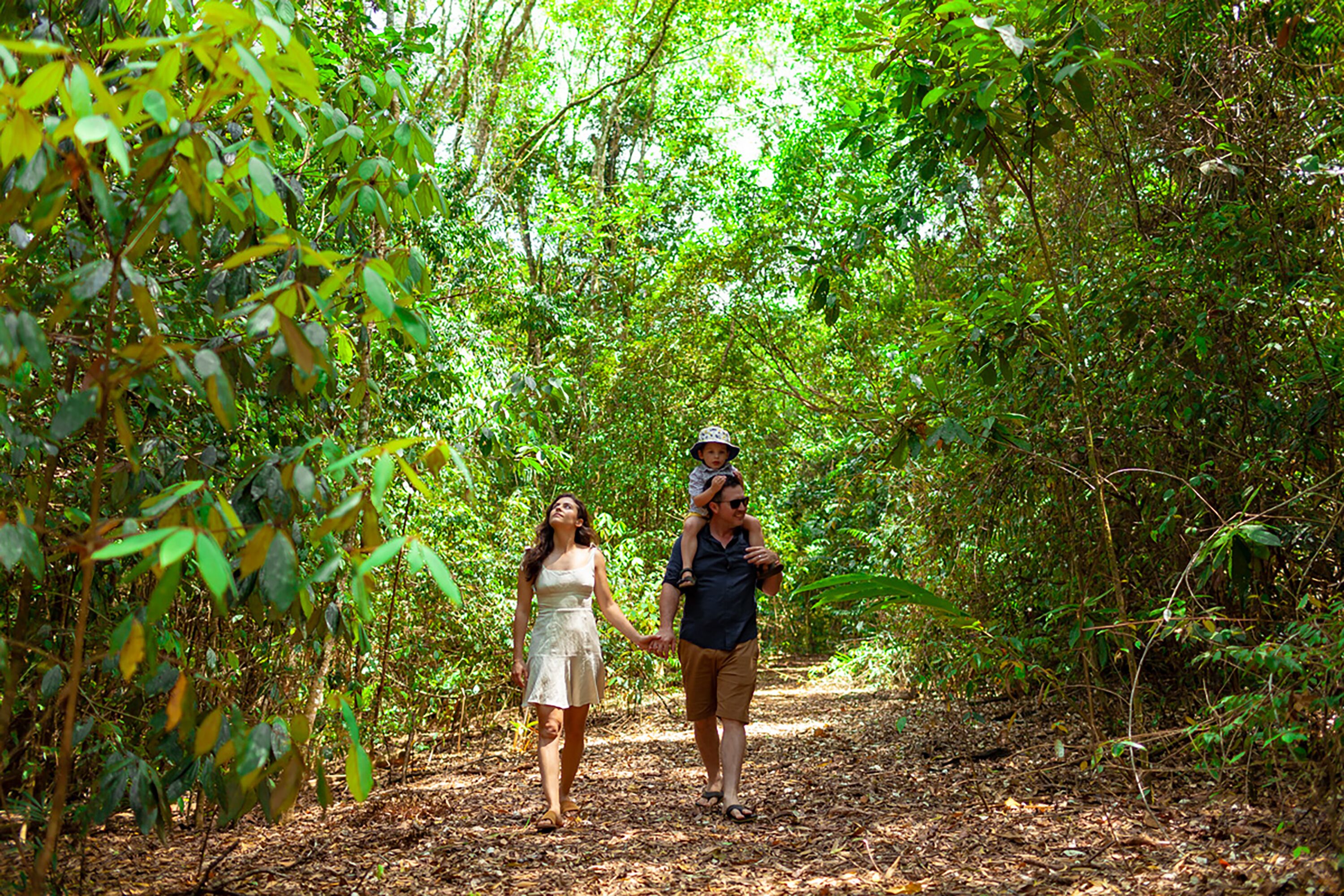 A couple walking on a forest path.