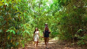 A couple walking on a forest path.