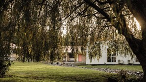 Un espacio cubierto de césped con un árbol en primer plano y un edificio al fondo.