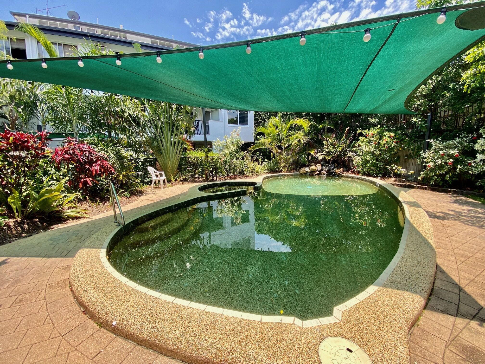A circular pool with a pebble border, surrounded by a garden with various plants and a green canopy overhead.