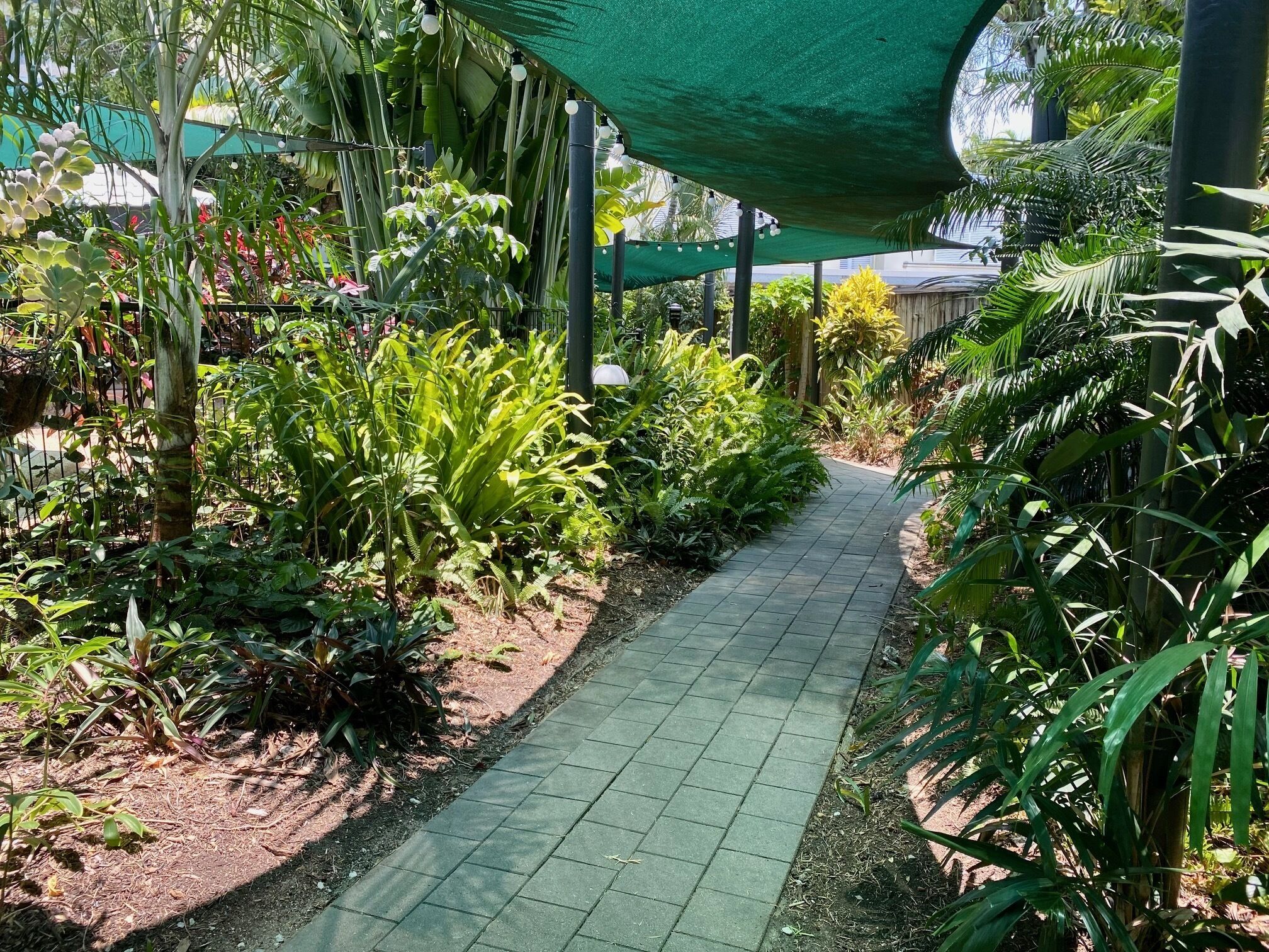 A pathway lined with various plants and a green canopy overhead.