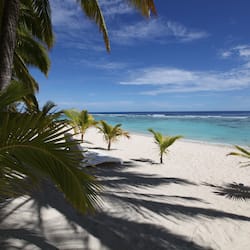 Vista da propriedade