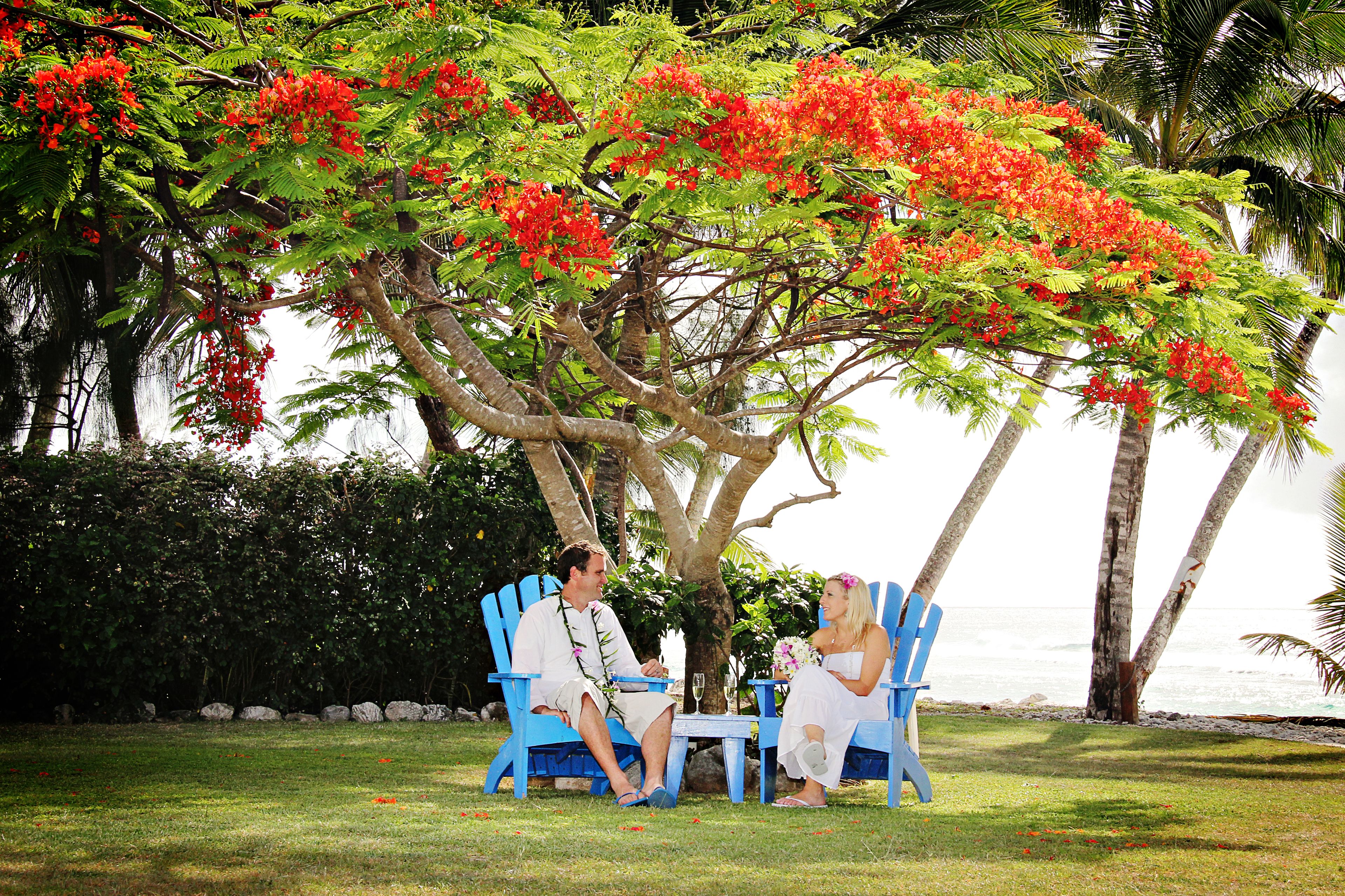 Twee personen zitten op blauwe stoelen onder een boom met rode bloemen, met uitzicht op de oceaan.