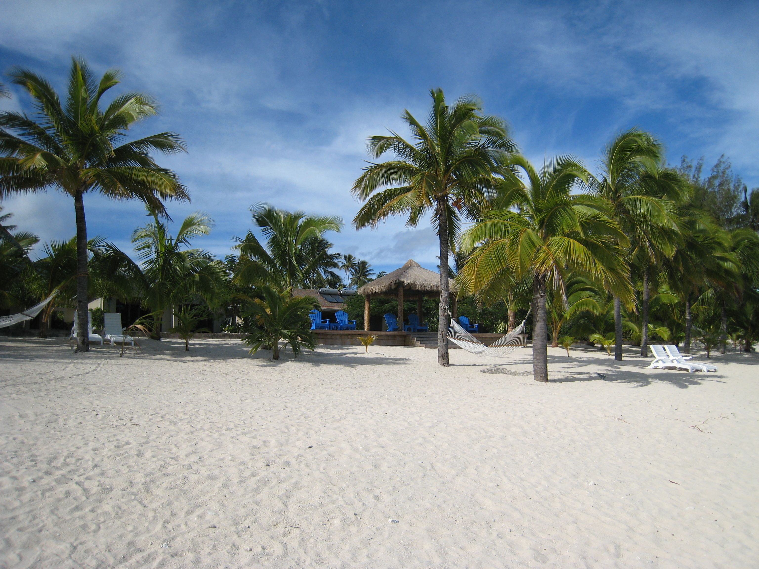 Una playa con arena blanca, palmeras y una estructura de techo de paja con sillas azules.