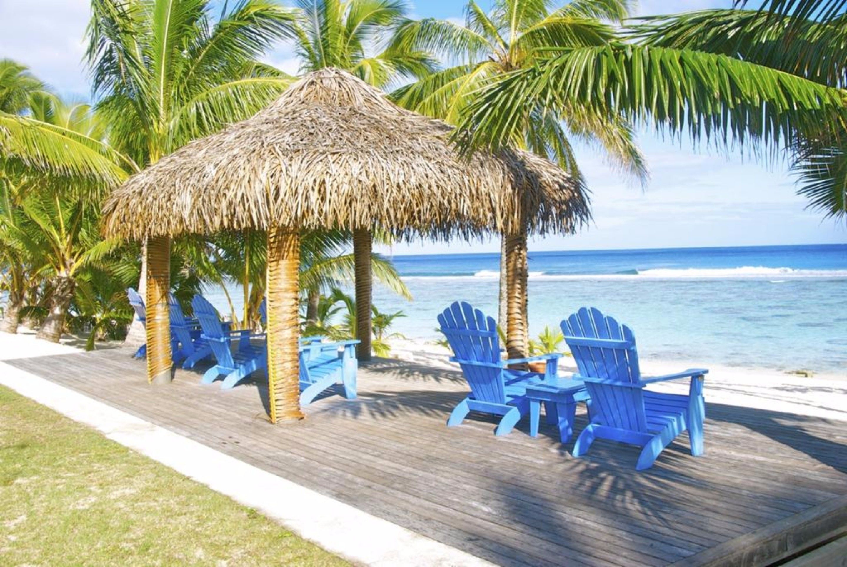 Una terraza de madera con sillas Adirondack azules y una estructura de techo de paja, con vista a una playa con palmeras y el océano.