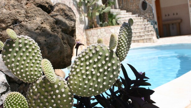 Outdoor pool - Hotel Il Cortile (Custonaci)
