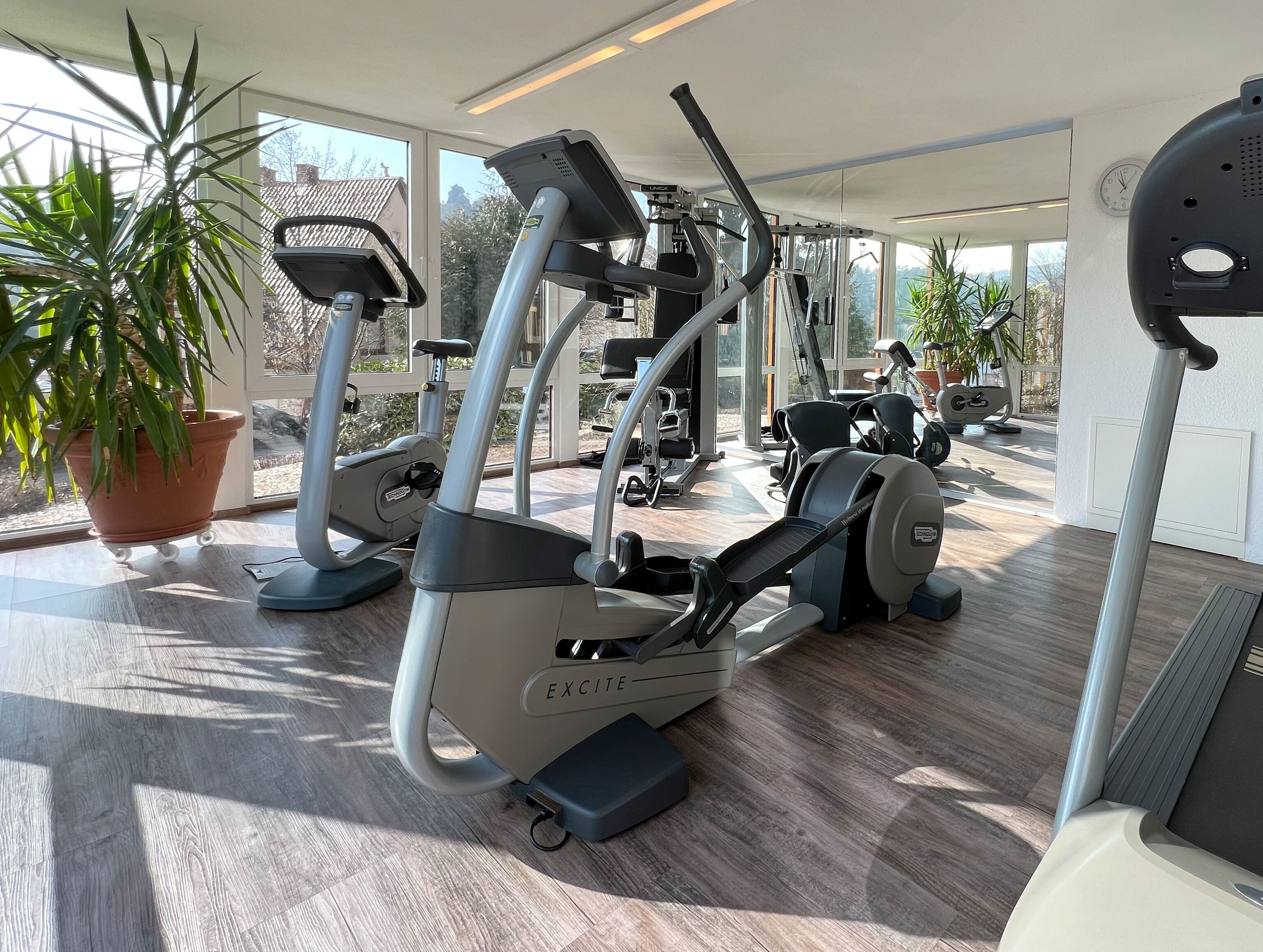 Ein Fitnessstudio mit verschiedenen Trainingsgeräten, großen Fenstern und Zimmerpflanzen.