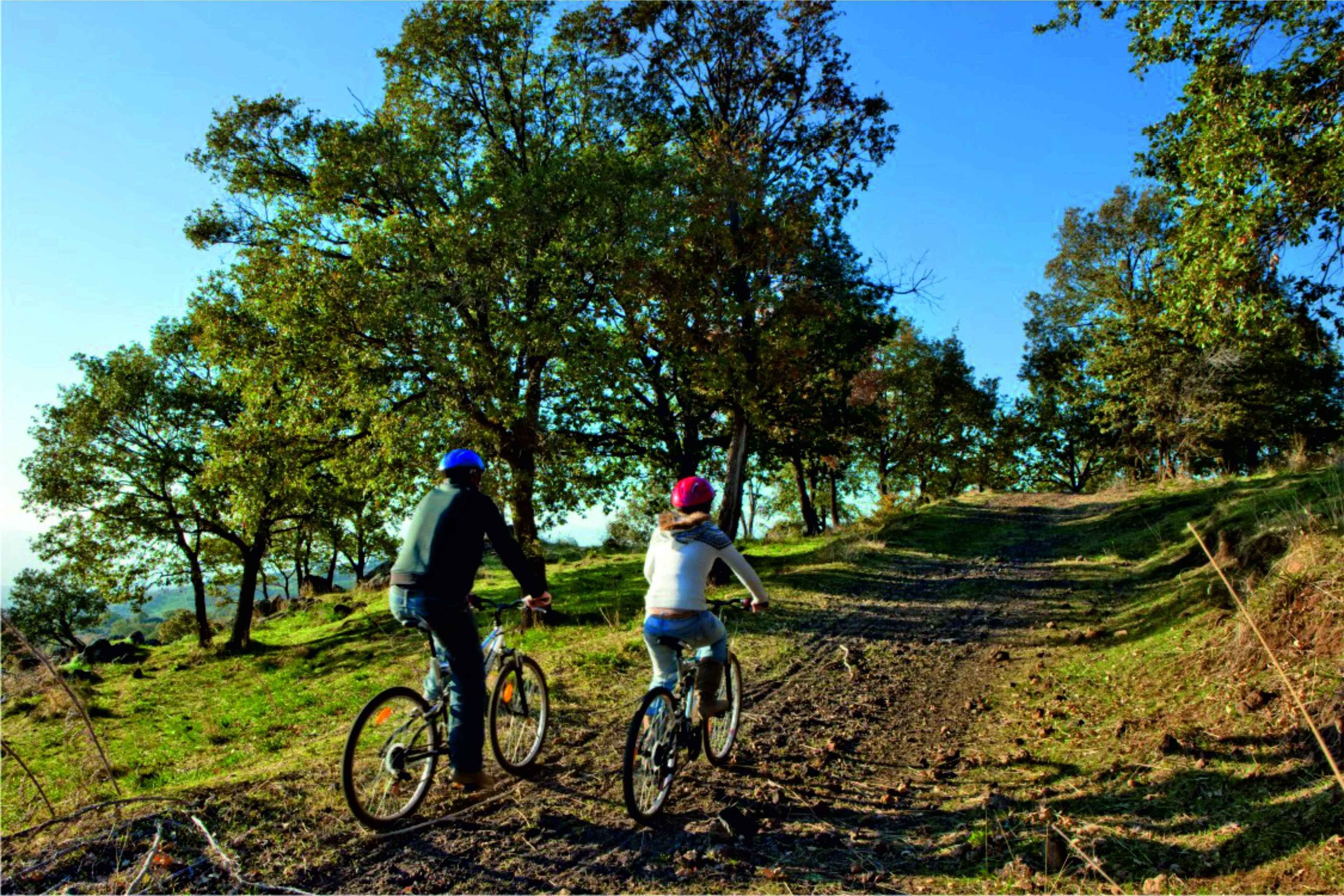 Two people on bicycles on a dirt path surrounded by trees.