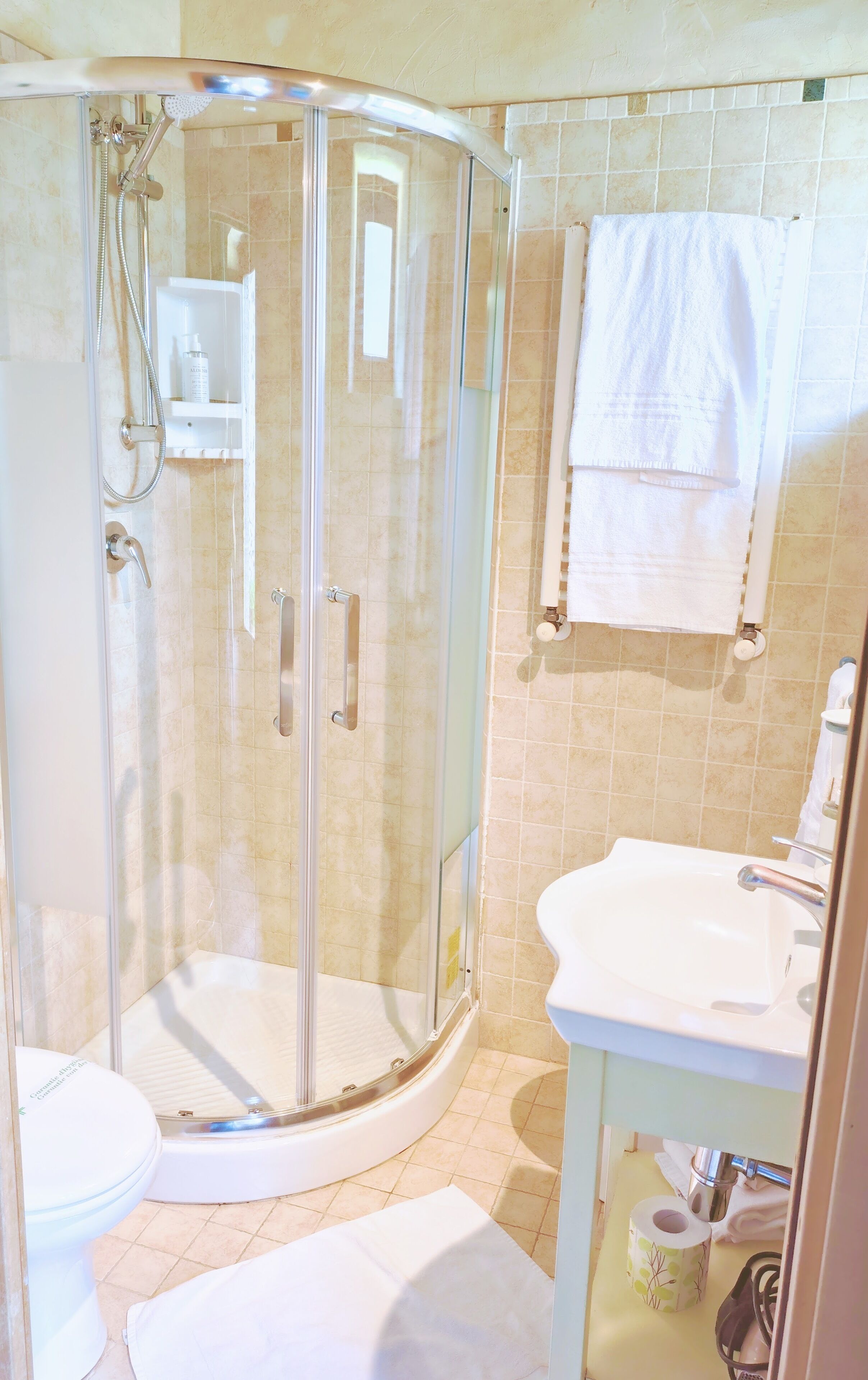 A glass-enclosed shower with a white sink and a towel rack.