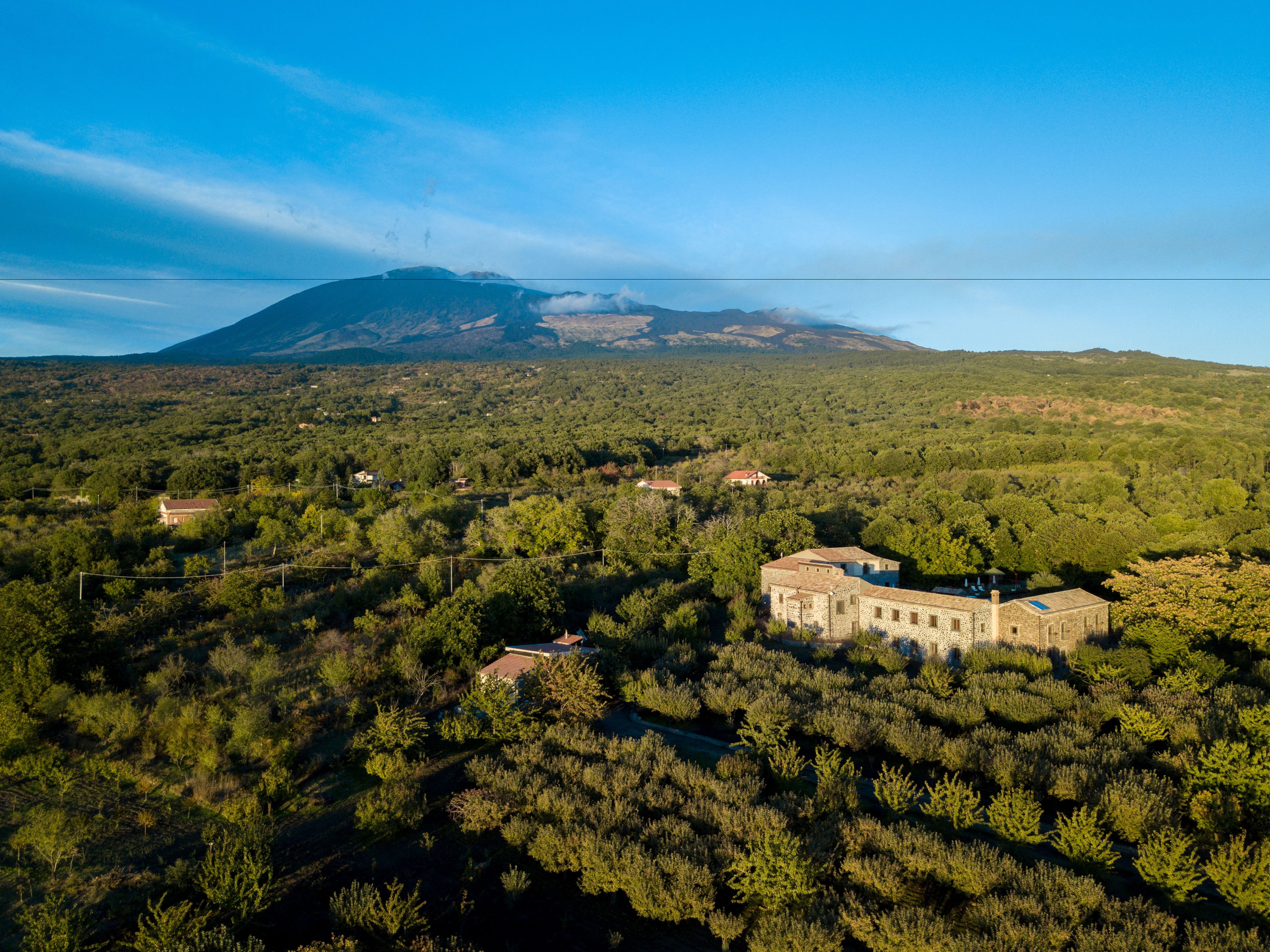 A mountainous landscape with a prominent building surrounded by dense forest.