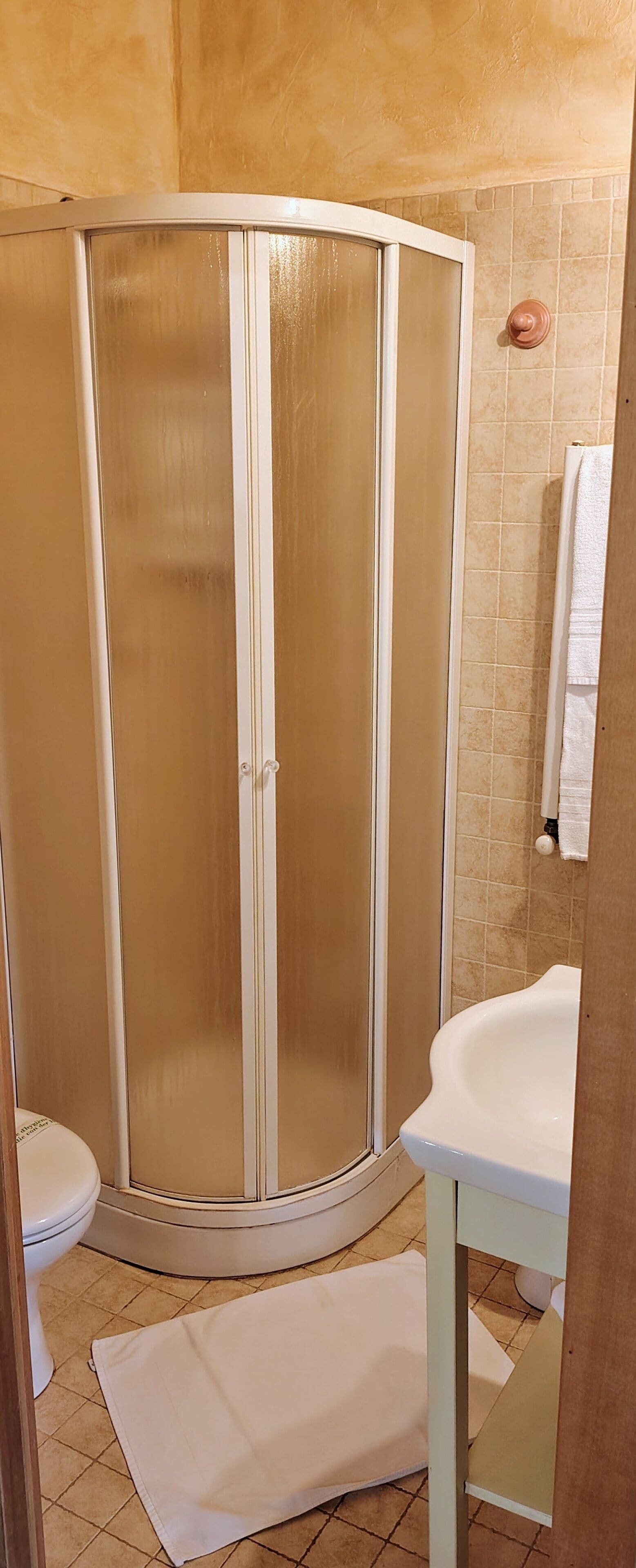 A bathroom with a shower enclosure, a toilet, and a sink.