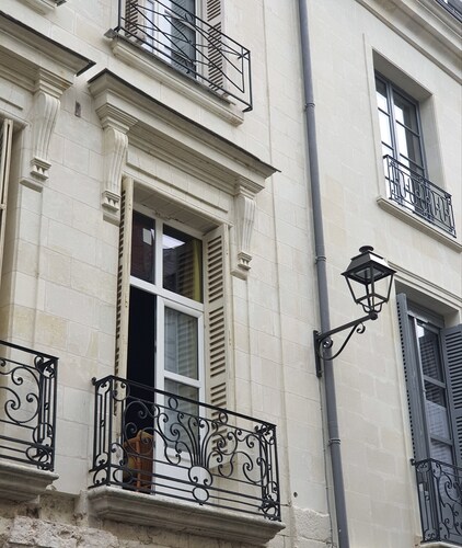 Hôtel du Cygne (Tours)