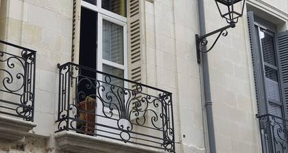 HĂŽtel du Cygne (Tours)