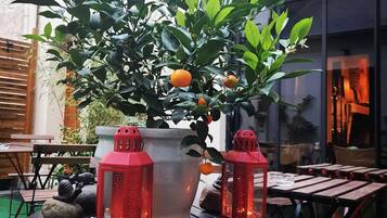 A table with two red lanterns and a potted plant with green leaves and oranges.