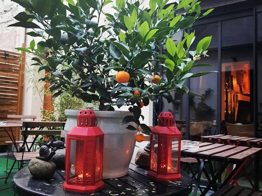 A table with two red lanterns and a potted plant with green leaves and oranges.