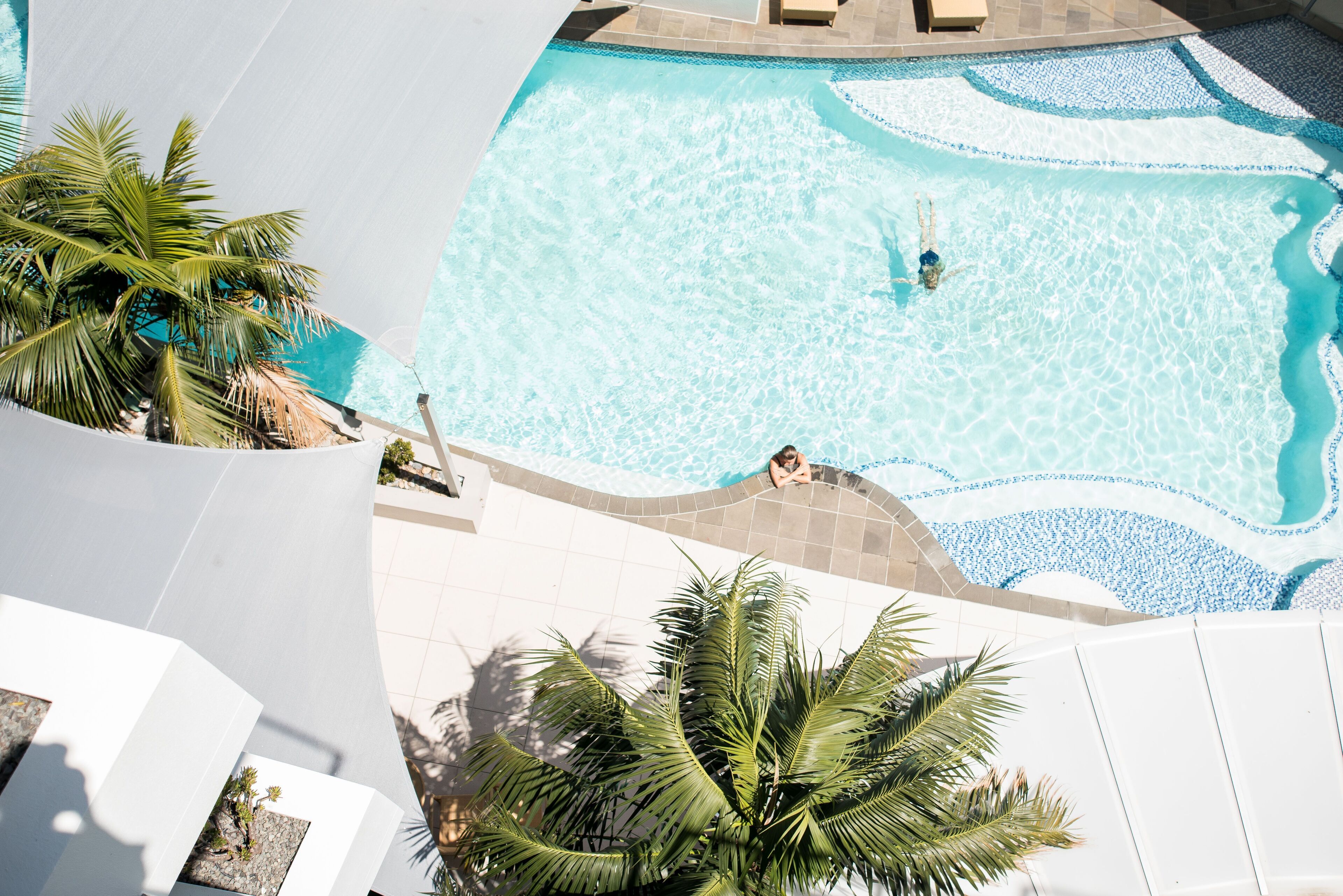 Una piscina en la azotea con agua cristalina, rodeada de palmeras y sillones de descanso.