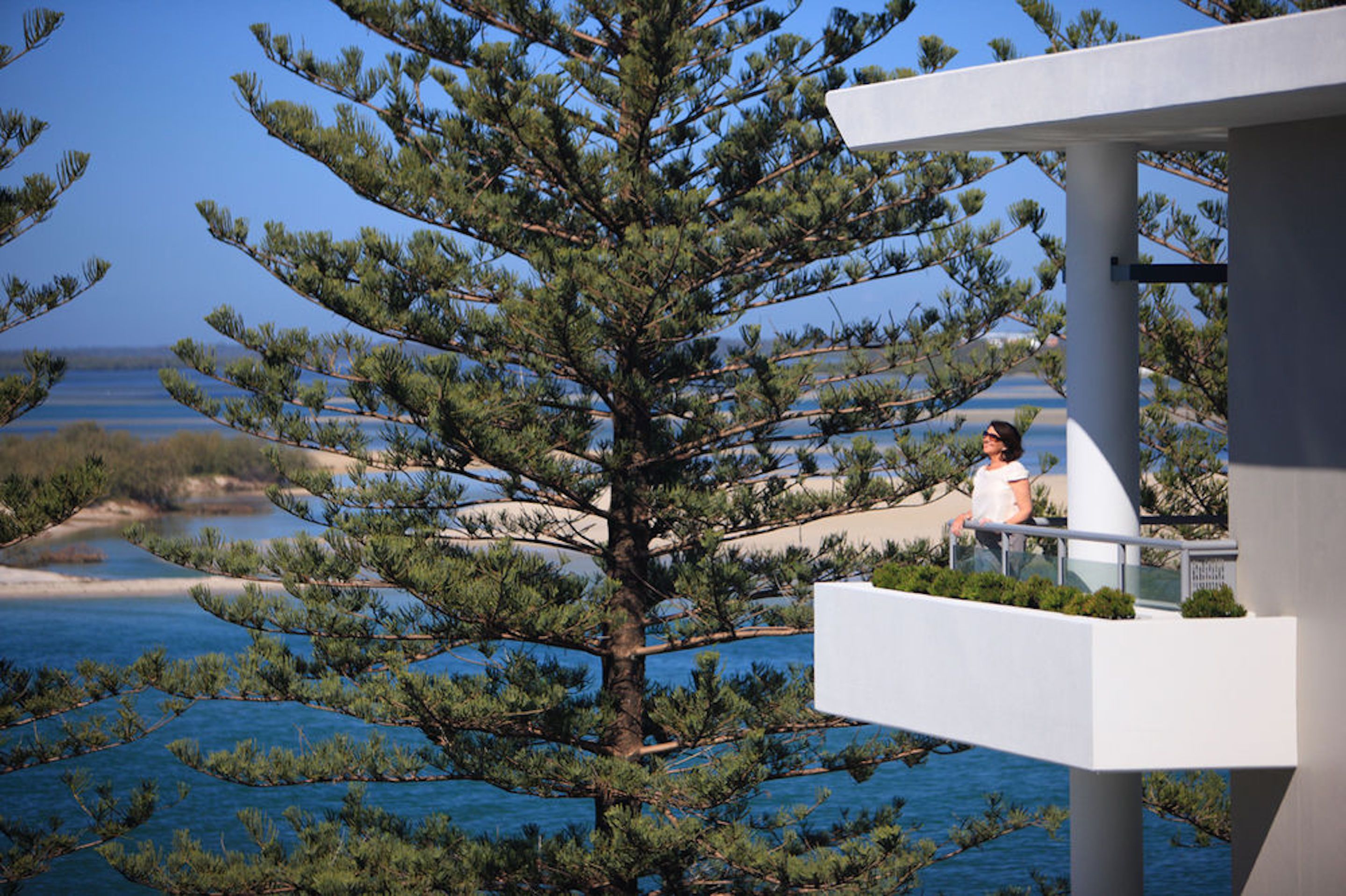 Un balcón con vista despejada a un paisaje costero, que incluye un árbol y el mar.