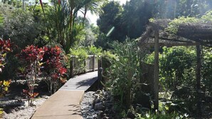 Property grounds - Licuala Lodge (Wongaling Beach)