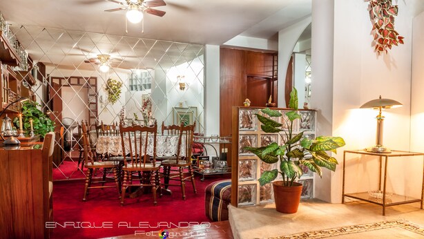 Uma sala de estar ampla com tapete vermelho, móveis de madeira e diversos objetos decorativos, incluindo plantas e um aparador de vidro.