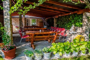 Terras