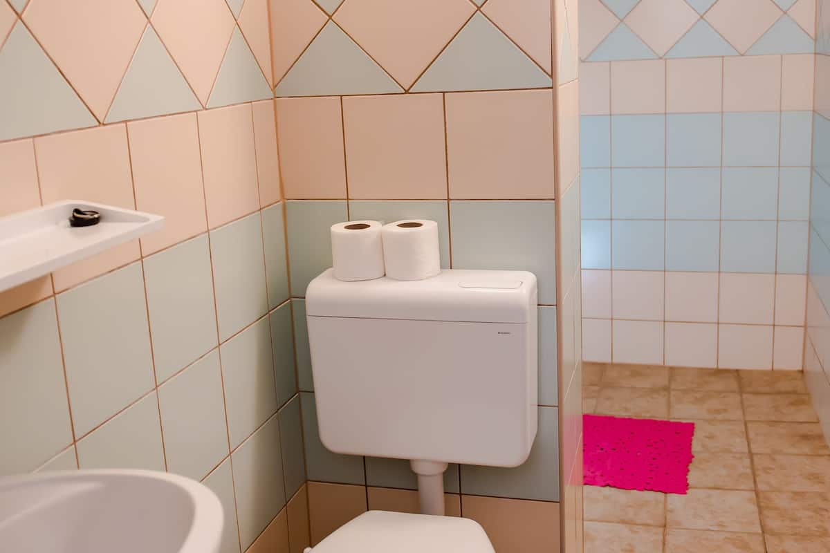 standard room, 2 single beds | bathroom | shower, free toiletries, hair dryer, towels