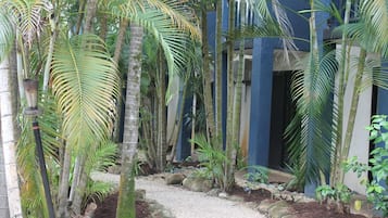 Un camino conduce a un edificio rodeado de bambú y palmeras.
