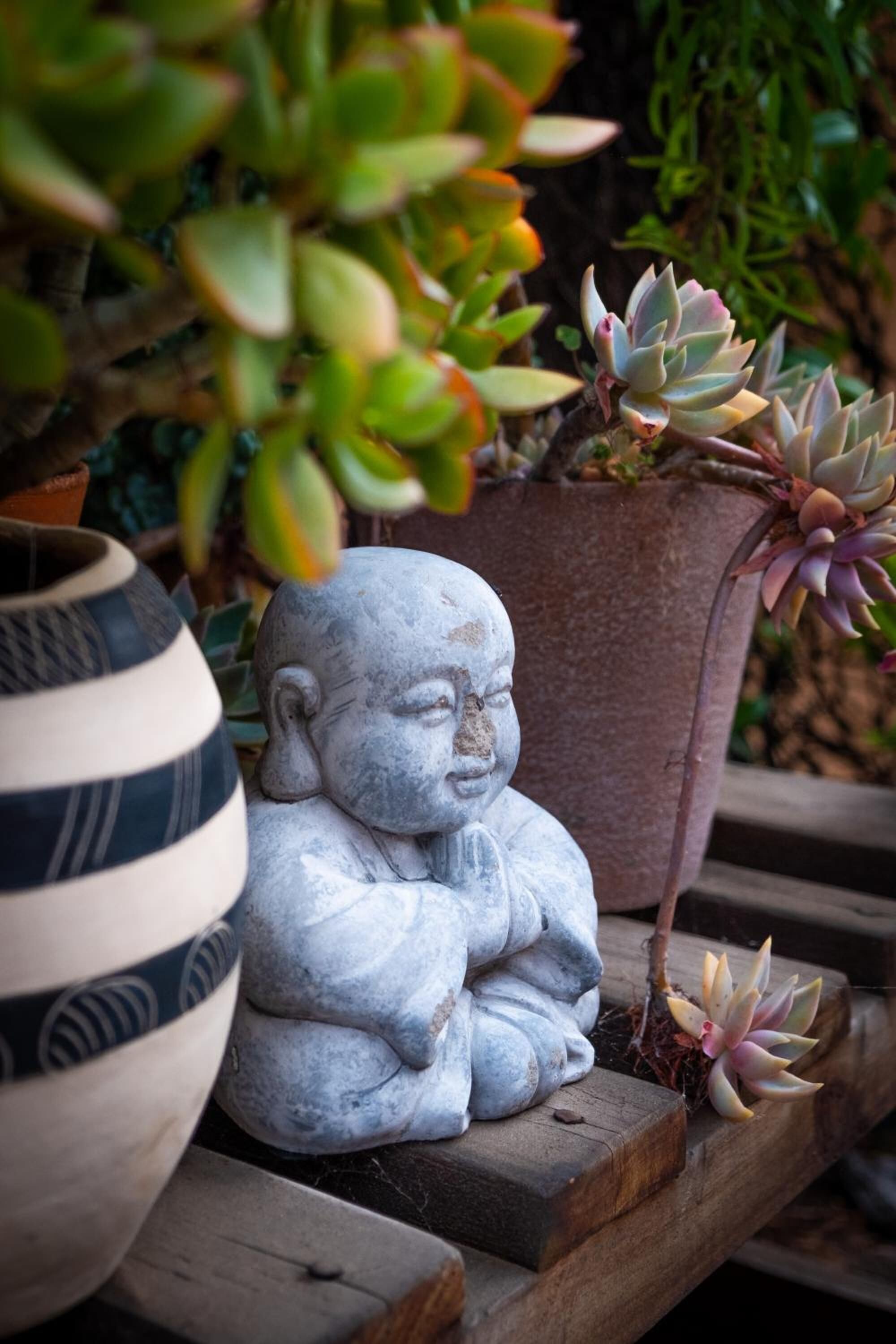A stone Buddha statue, a striped ceramic bowl, and a potted succulent plant on a wooden surface.