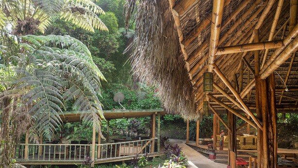 A bamboo structure with a thatched roof, surrounded by lush greenery and a variety of plants. - Huasquila Amazon Lodge (Cotundo)
