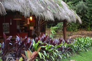 A rustic hut with a thatched roof, surrounded by lush greenery and vibrant foliage.