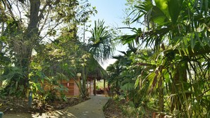 A pathway leading to a wooden structure surrounded by lush tropical vegetation. - Huasquila Amazon Lodge (Cotundo)