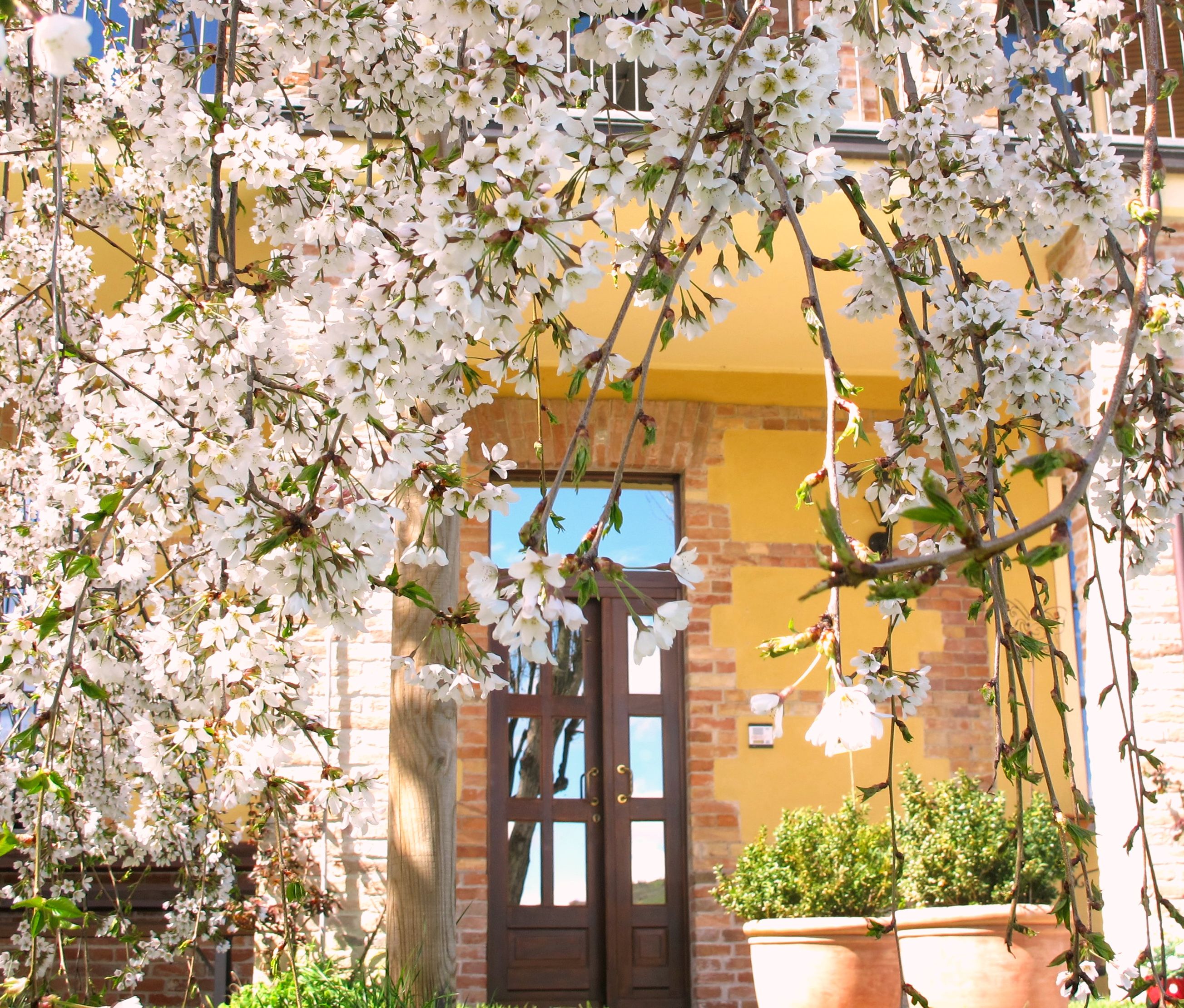 Entrada de la propiedad