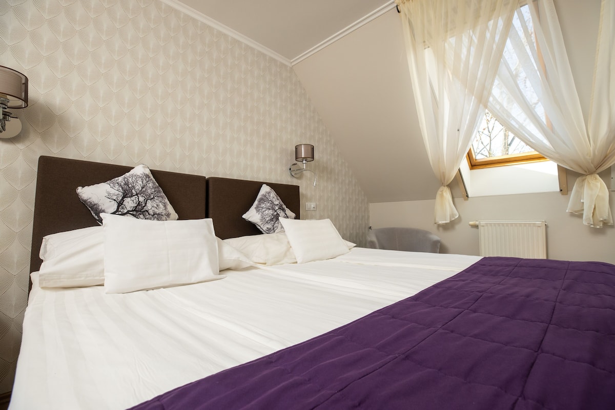 double or twin room | minibar, desk, blackout curtains, iron/ironing board