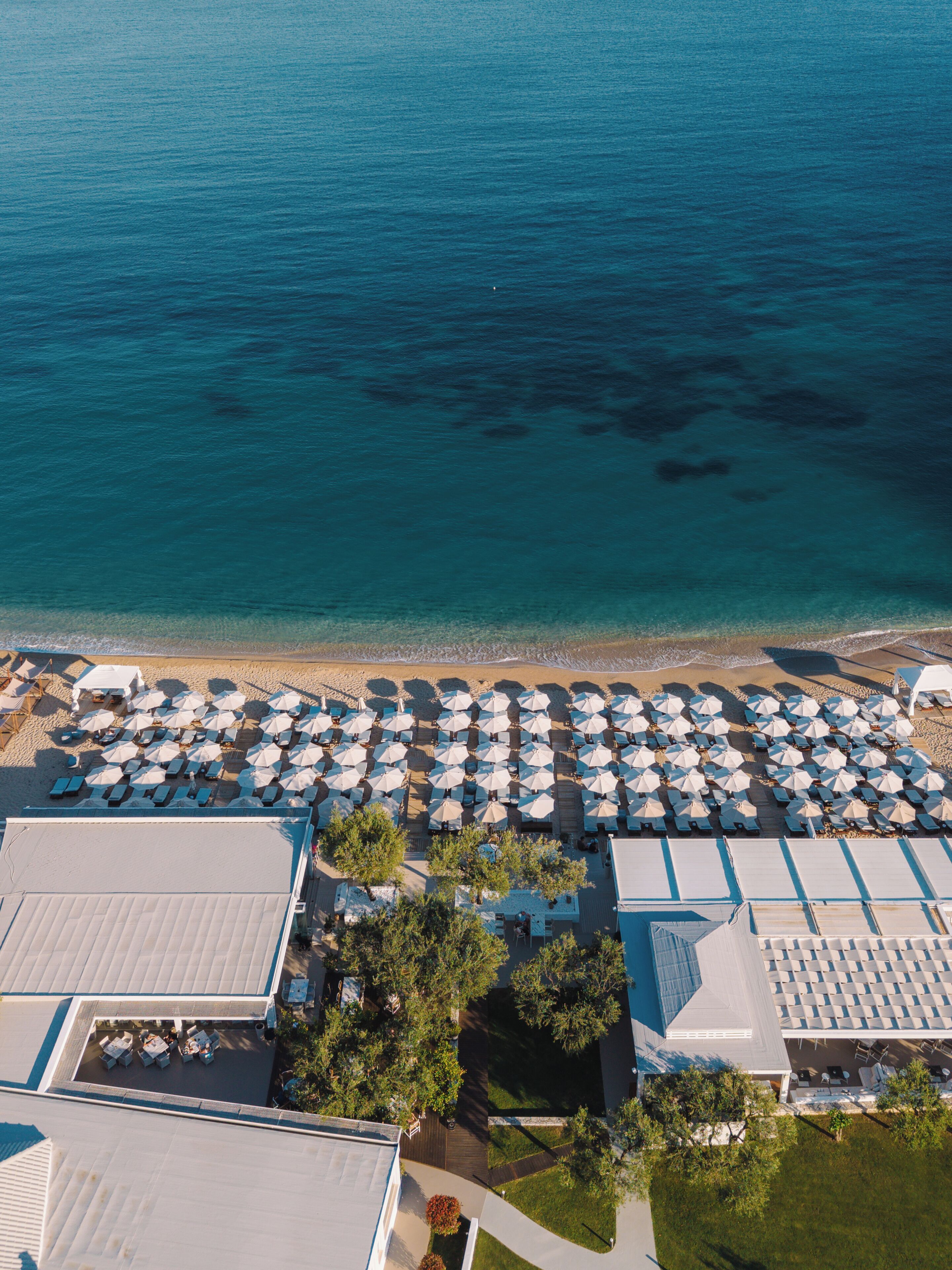 An aerial view of a beachside resort with rows of sun loungers and umbrellas, a pool area, and a building with a flat roof.
