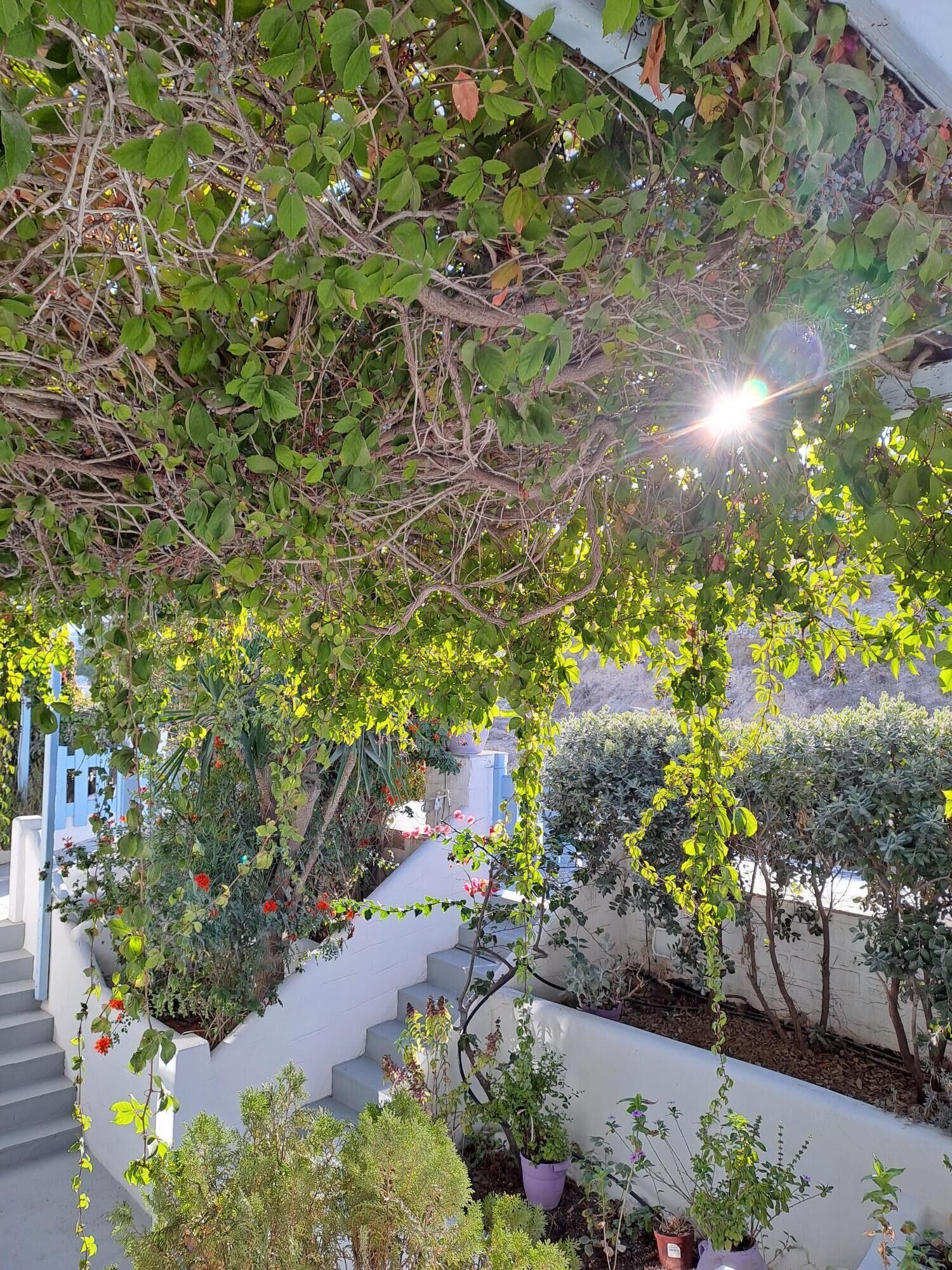 Foto - Stratos Apartments & Studios