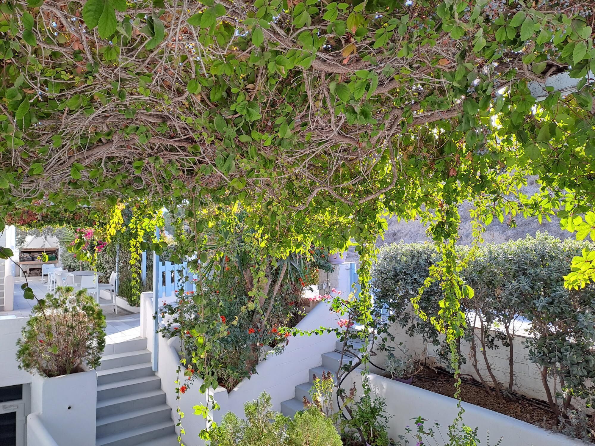 Foto - Stratos Apartments & Studios