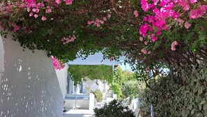 Un estrecho callejón con un arco vibrante de flores de buganvilla rosadas, una planta en maceta y una pared blanca a un lado.